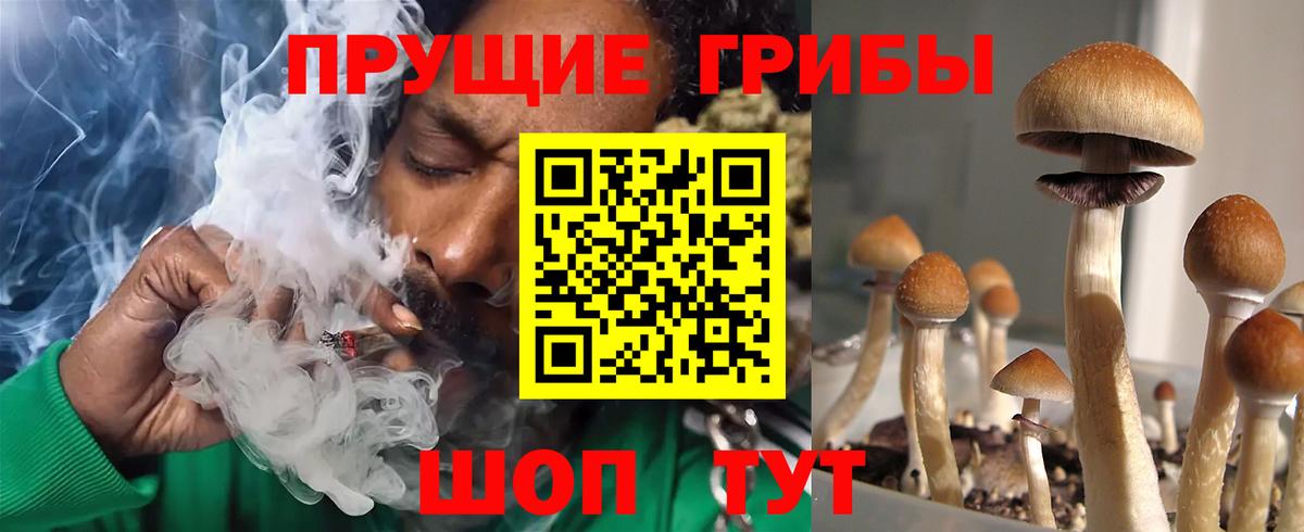 Псилоцибиновые грибы мухоморы  Вход с VPN  Краснокаменск 